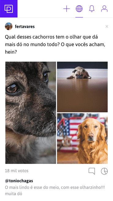 Tela do aplicativo que mostra um mosaico de fotos com exemplo de questionário: mostra três cachorros, acompanhado da pergunta 'Qual desses cachorros tem o olhar que dá mais dó?'